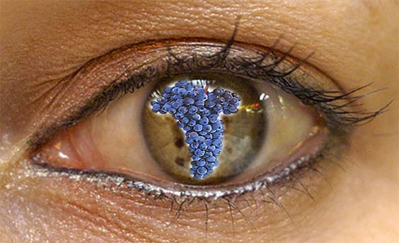 Eye and Grape